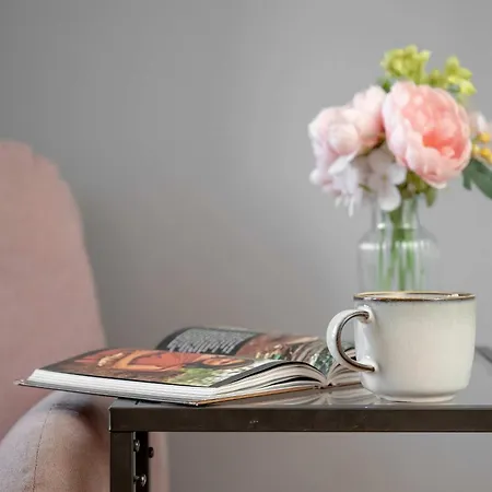 Modern In With Air Conditioning By Renters דירה